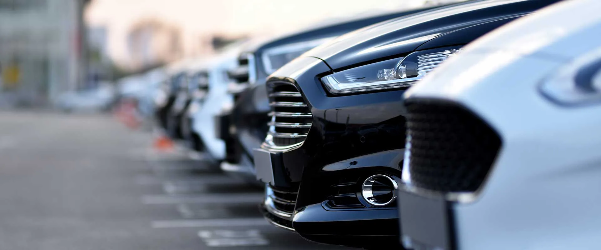 Contaminants found in rental vehicles after illegal activities